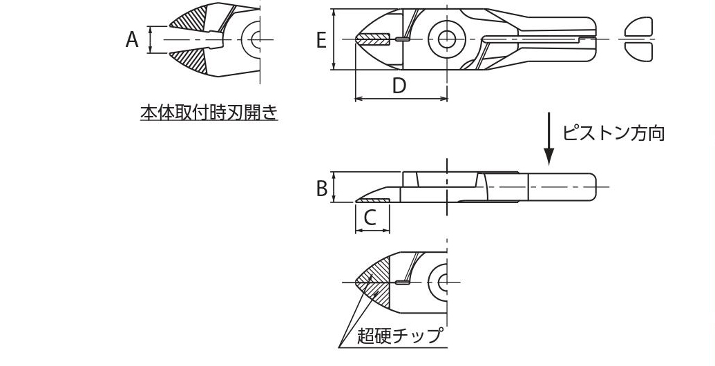 zfnp1.jpg